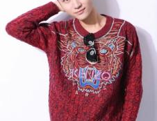 网红小小酷哥,网络红人的崛起之路